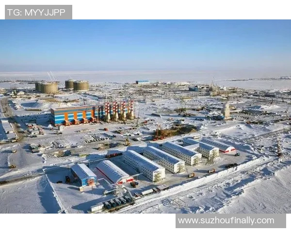 亚马尔地区的能源战略与全球市场的深度互动分析