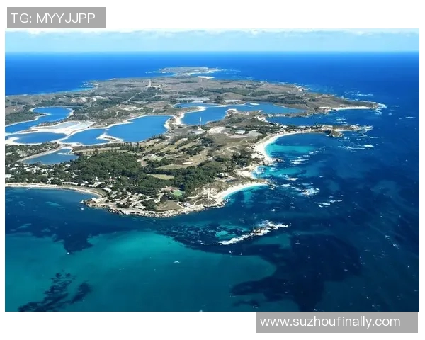 巴拿马与百慕大群的对决分析与精彩瞬间回顾 巴拿马与百慕大群的对决分析与精彩瞬间回顾