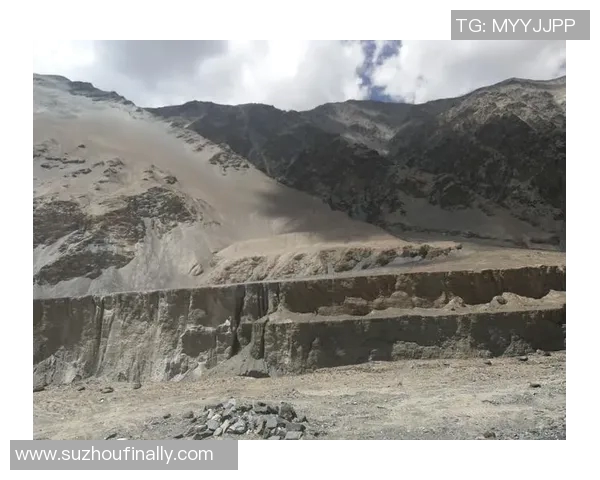 深度对话：探索陈秀英在英雄联盟中的成长与挑战之路